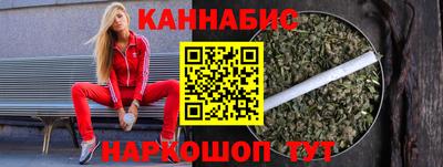 молекула духа Будённовск