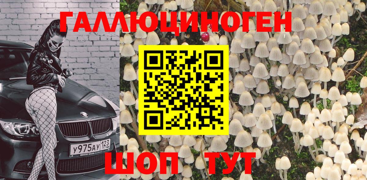 Галлюциногенные грибы мухоморы Черногорск