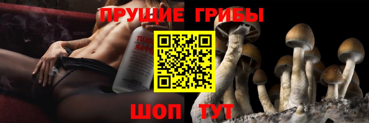 Черногорск  Псилоцибиновые грибы MAGIC MUSHROOMS  Вход с VPN  Псилоцибиновые грибы ЛСД 